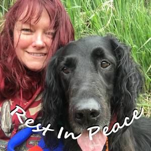 Meet your Posher, Darlene